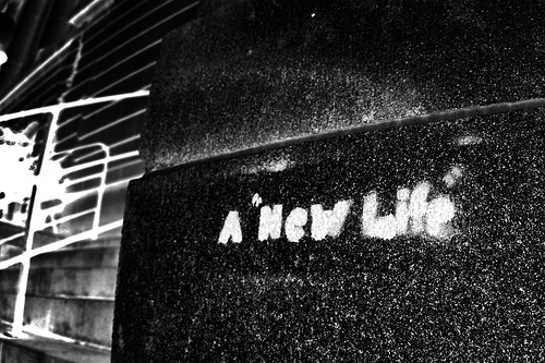 brand_new_life