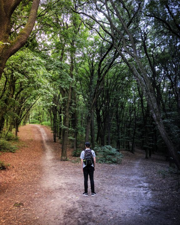 Life at crossroads, which path to take